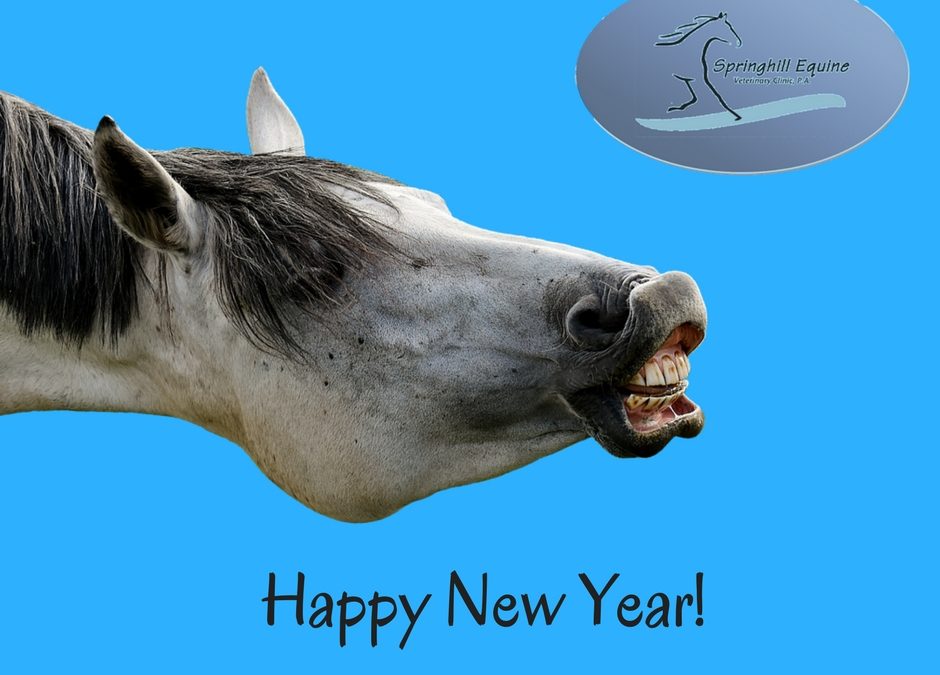 New Years Resolutions and Horses