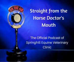 Springhill Equine Podcast