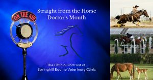 horse Podcast
