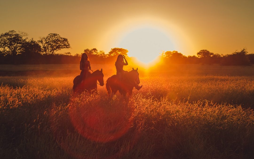 Preparing for Horse Ownership