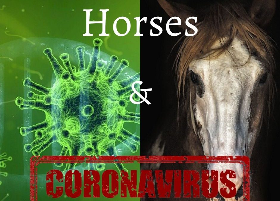 Horses and CoronaVirus