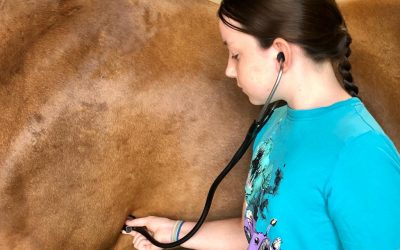 Equine Vital Signs