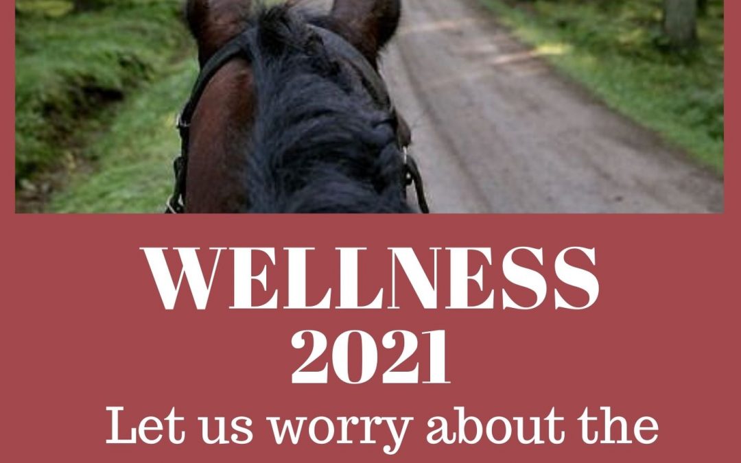 Wellness Plans 2021