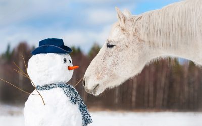 Cold Weather Horse Challenges