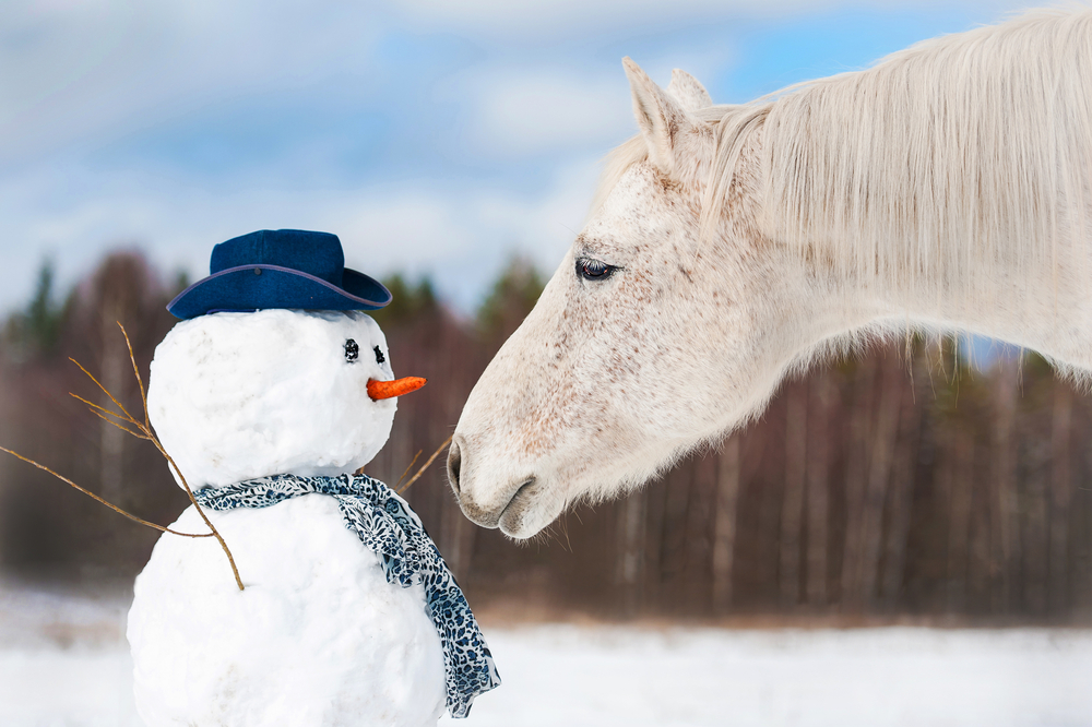 Cold Weather Horse Challenges