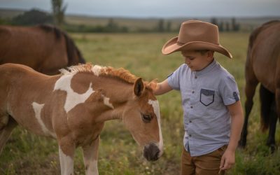 New Foal Care Basics